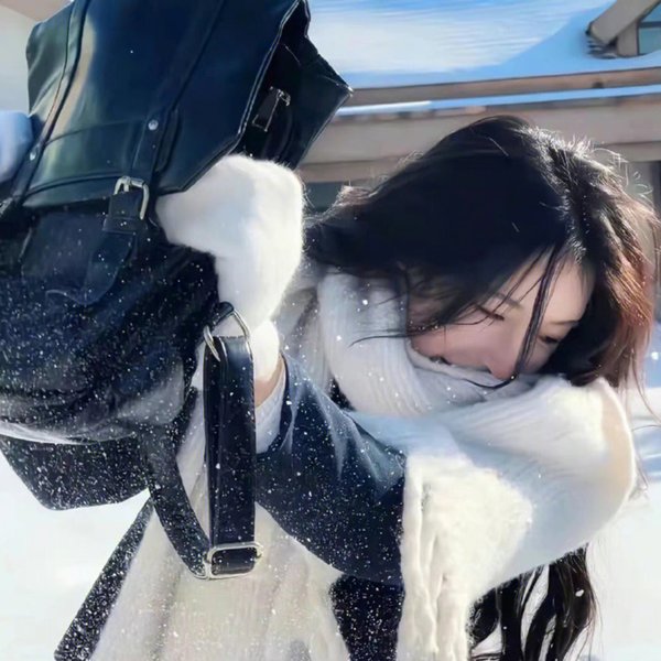 朝雪录