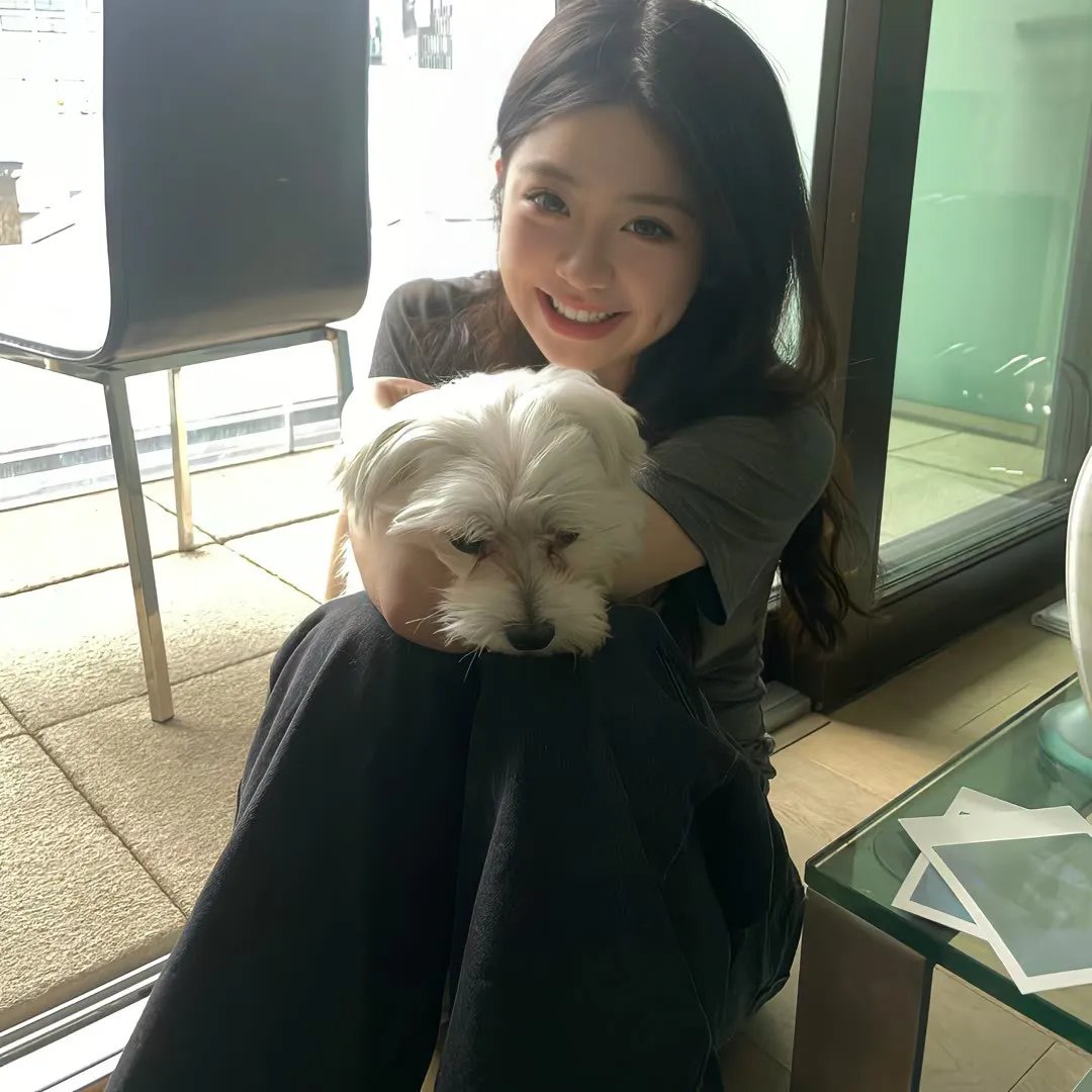 清白者